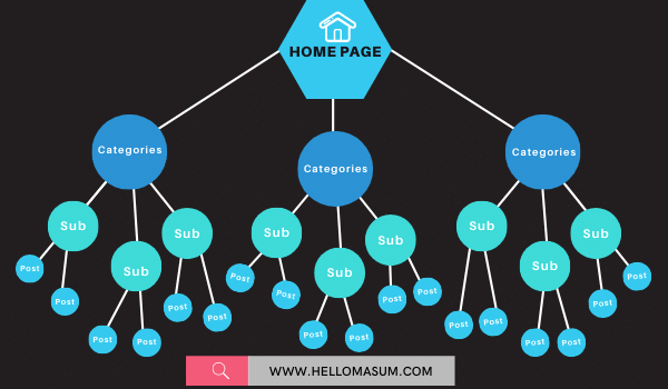 Establish SEO-Friendly Navigation