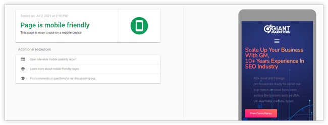 Optimize Your Website for Mobile Devices